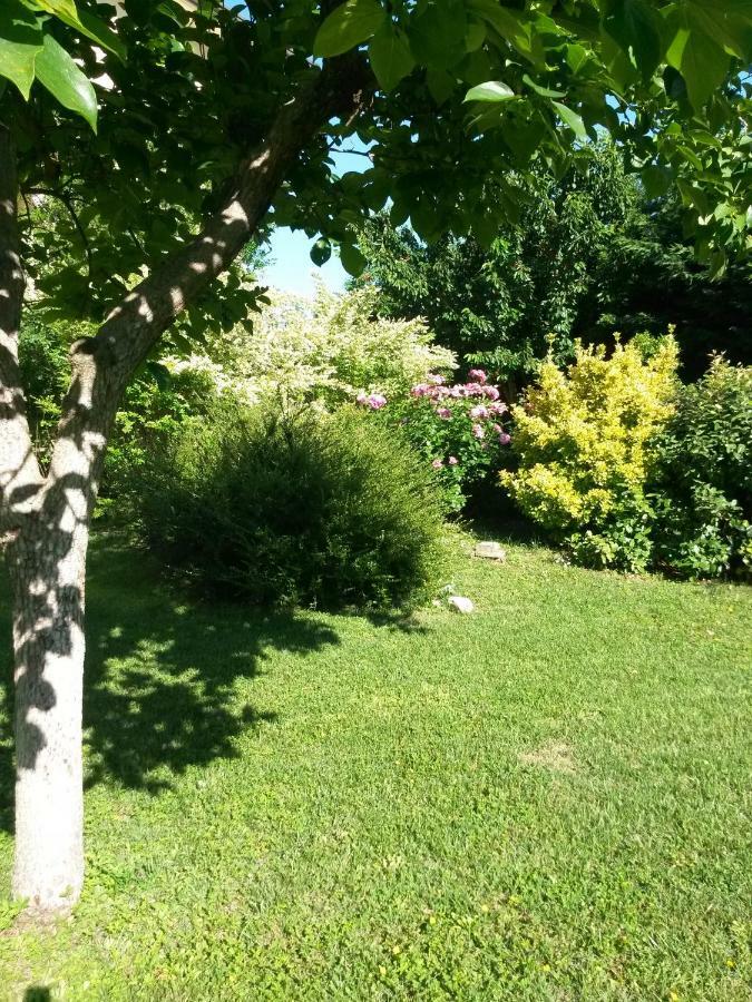 Bed and Breakfast Casavittorio San Giovanni In Marignano Zewnętrze zdjęcie