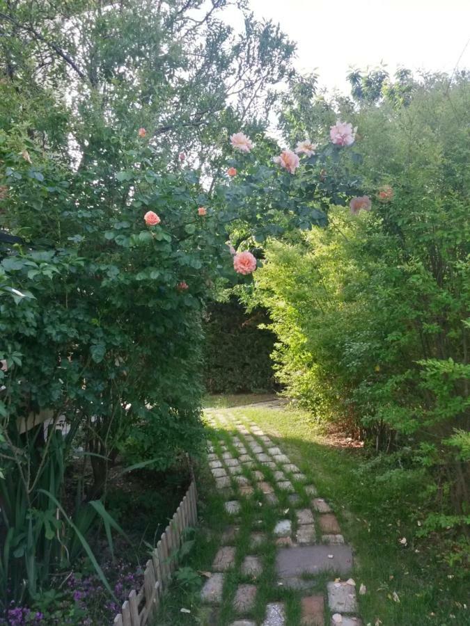 Bed and Breakfast Casavittorio San Giovanni In Marignano Zewnętrze zdjęcie